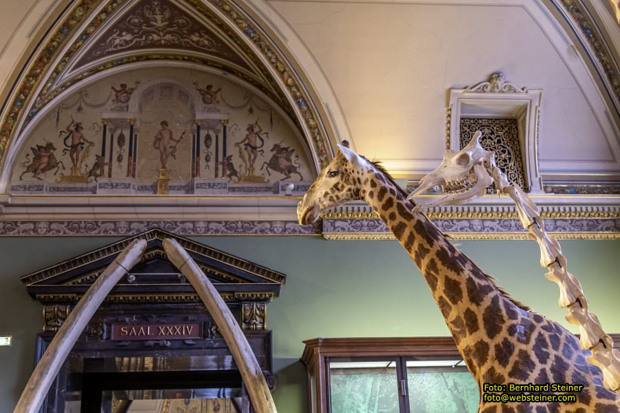 Naturhistorisches Museum Wien - NHM, Jnner 2023
