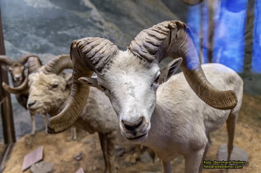 Naturhistorisches Museum Wien - NHM, Jnner 2023