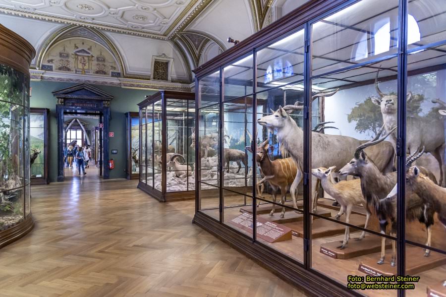 Naturhistorisches Museum Wien - NHM, Jnner 2023