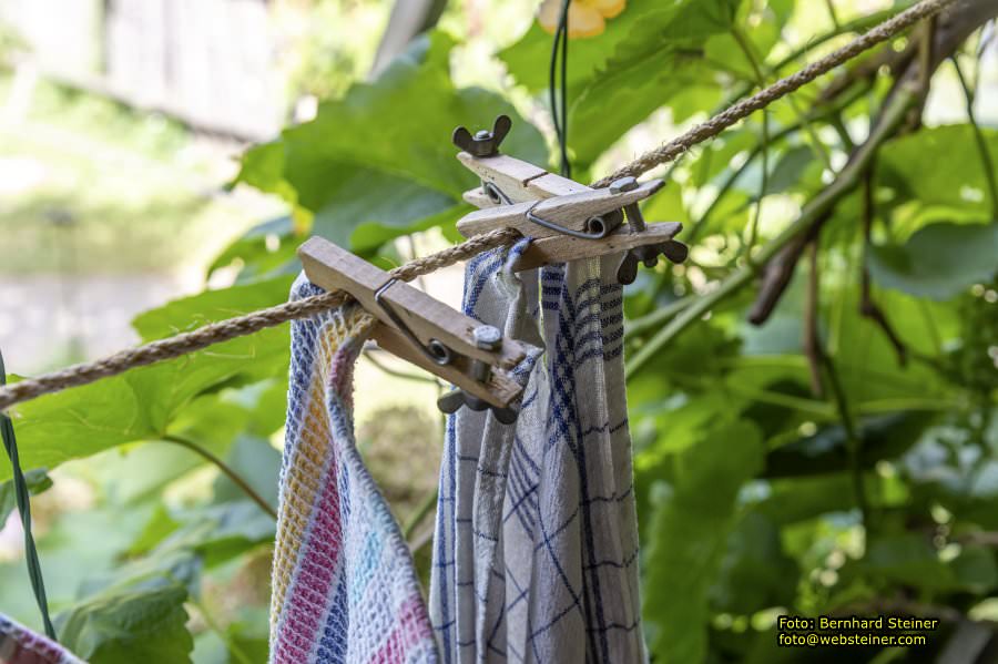 Nonseum in Herrnbaumgarten, Juli 2023