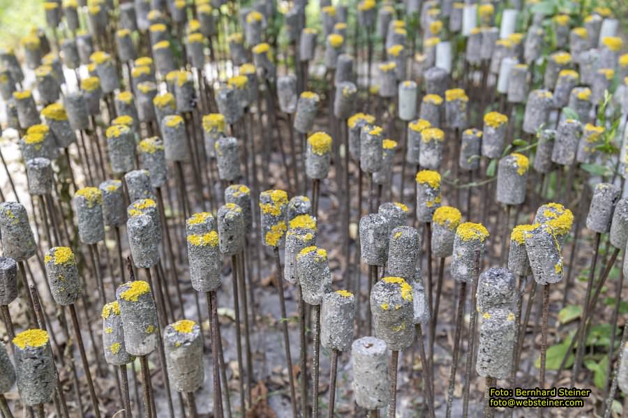 Nonseum in Herrnbaumgarten, Juli 2023