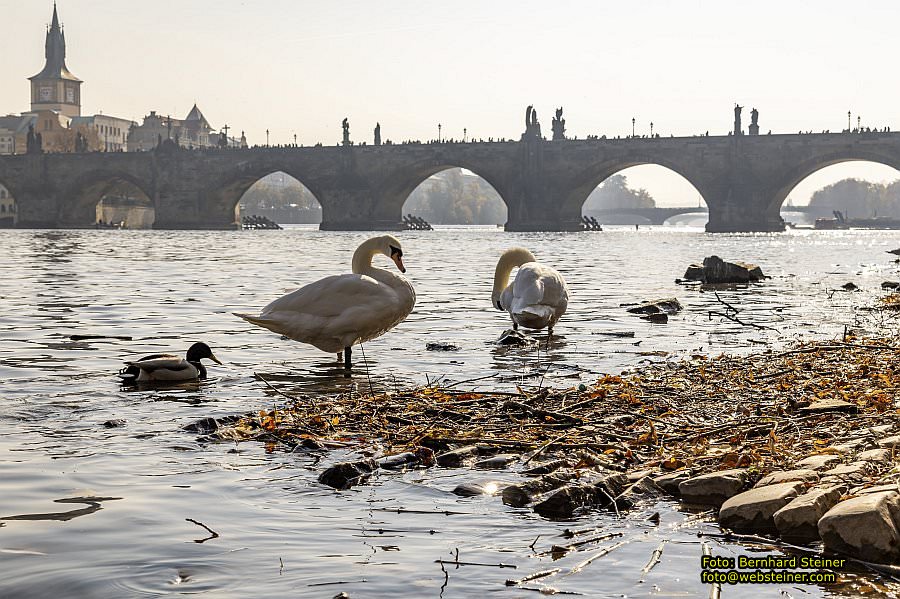 Prag, Oktober 2021
