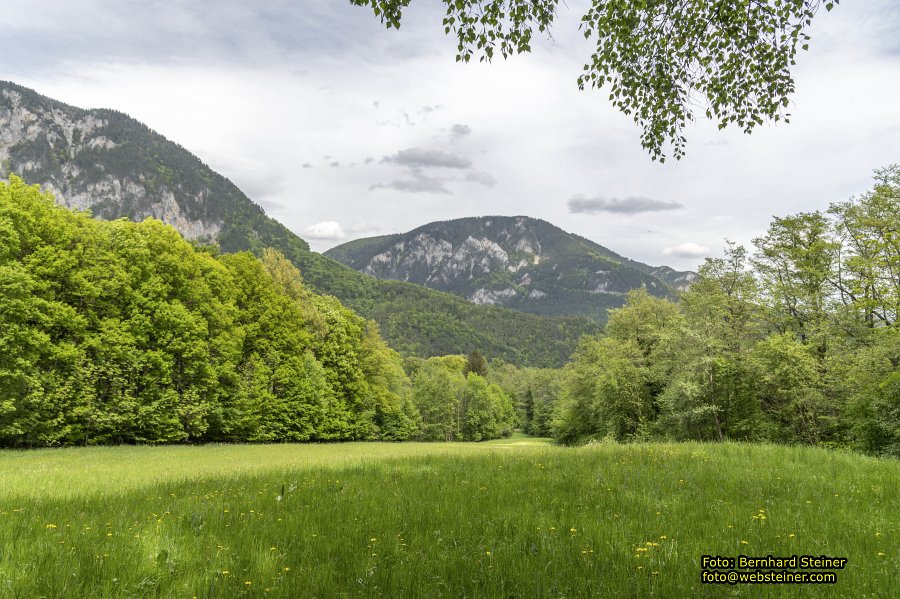 Reichenau an der Rax, Mai 2026