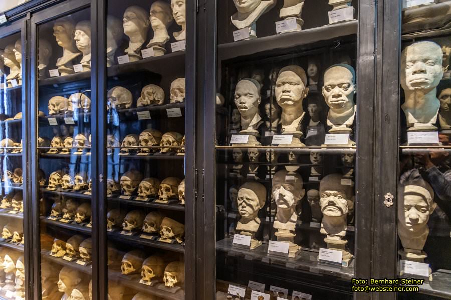 Rollettmuseum, Jnner 2023