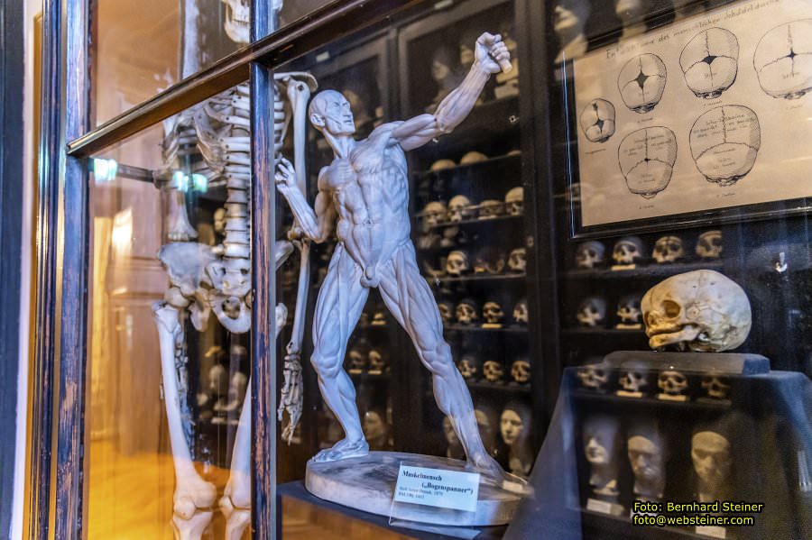 Rollettmuseum, Jnner 2023