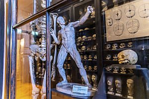Projekt: Rollettmuseum in Baden, Jnner 2023