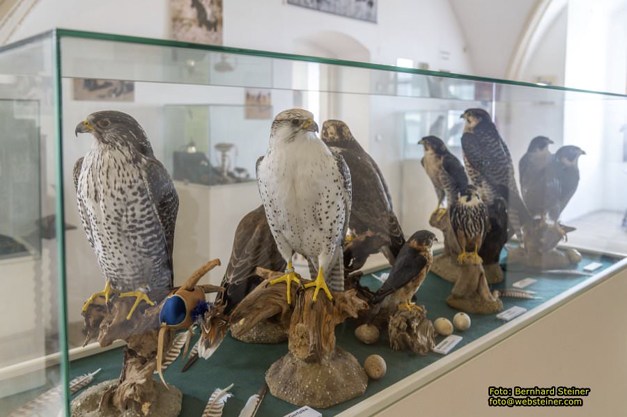 Renaissanceschloss Rosenburg, Juni 2023