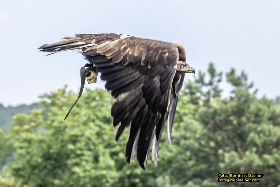 Renaissanceschloss Rosenburg, Juni 2023