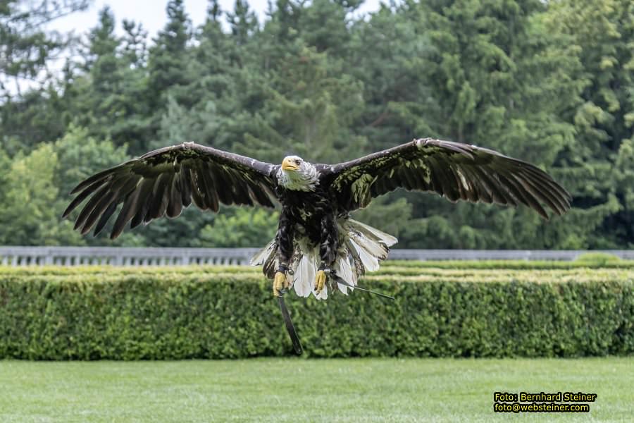 Renaissanceschloss Rosenburg, Juni 2023