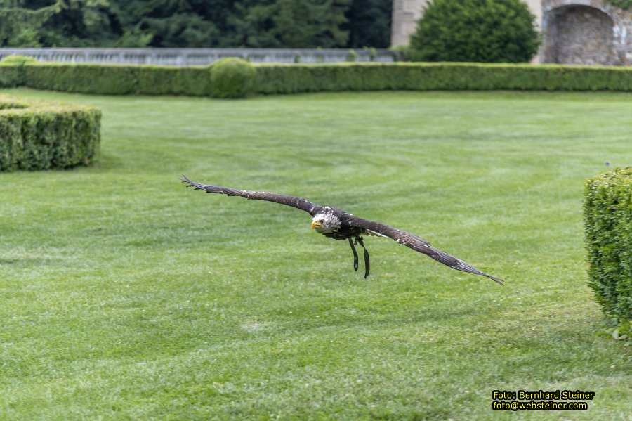 Renaissanceschloss Rosenburg, Juni 2023