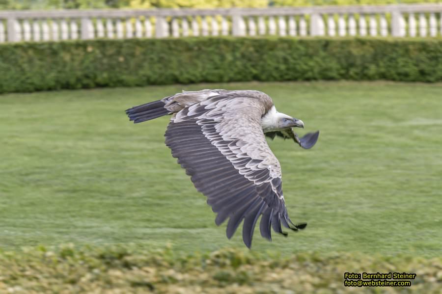 Renaissanceschloss Rosenburg, Juni 2023