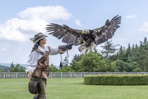 Projekt: Renaissanceschloss Rosenburg, Juni 2023