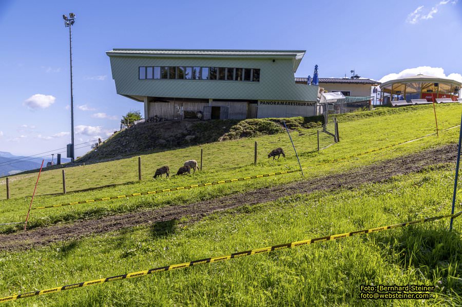 Semmering Kabinenbahn, August 2023