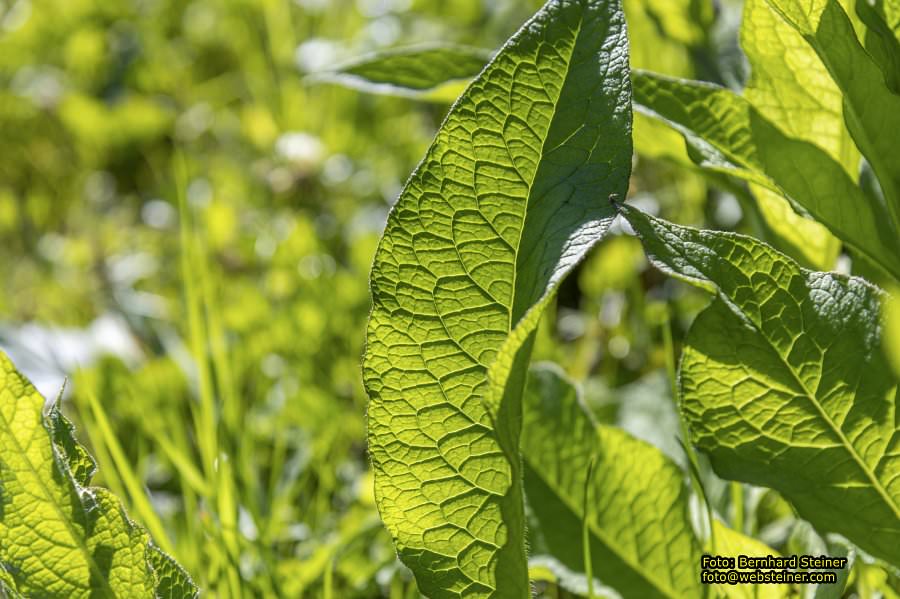 Semmering Kabinenbahn, August 2023