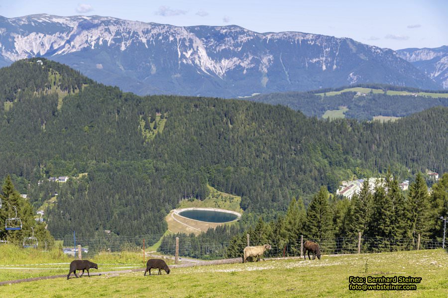 Semmering Kabinenbahn, August 2023