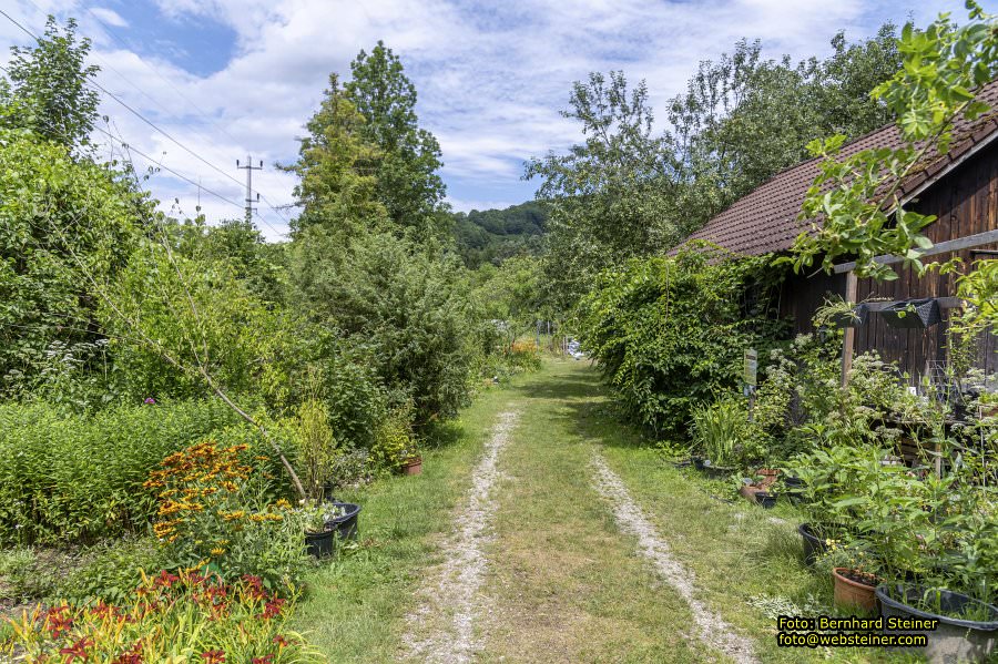 Steinschaler Naturg�rten, Juli 2023