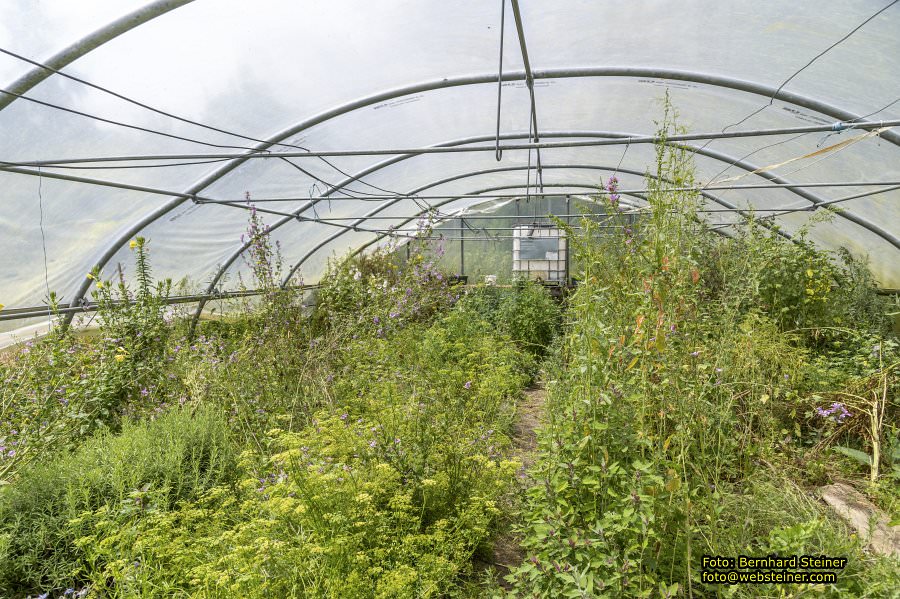 Steinschaler Naturg�rten, Juli 2023