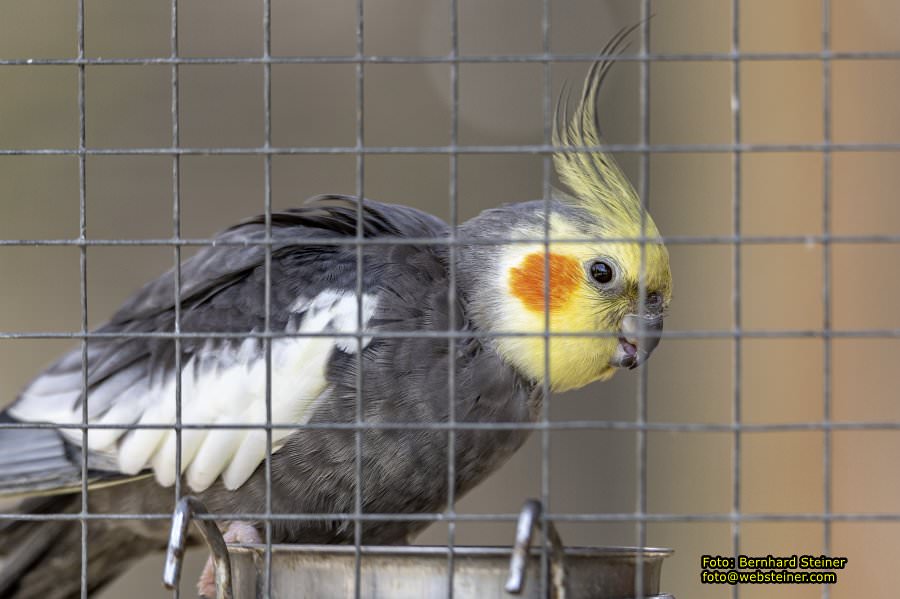 Tierpark Stadt Haag, Mrz 2023