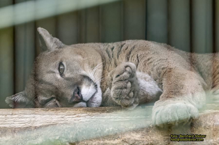 Tierpark Stadt Haag, Mrz 2023