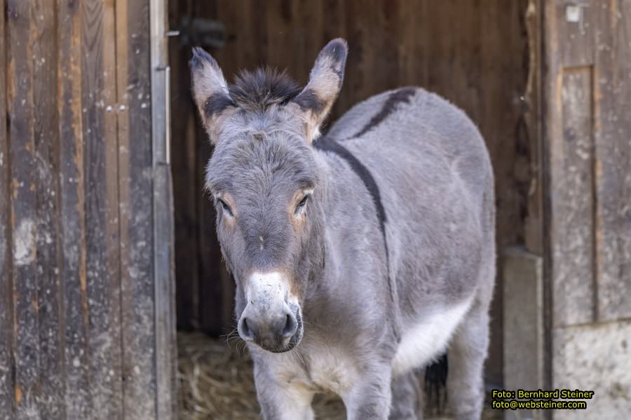 Tierpark Stadt Haag, Mrz 2023