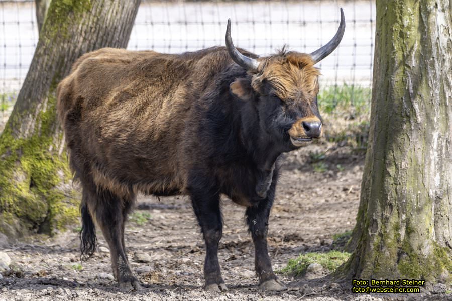 Tierpark Stadt Haag, Mrz 2023