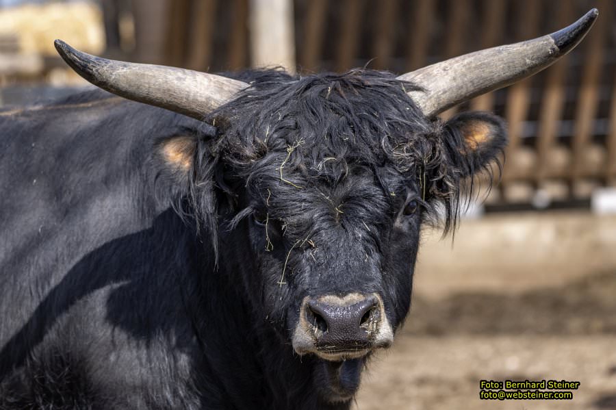 Tierpark Stadt Haag, Mrz 2023