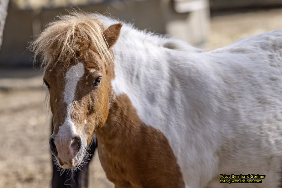 Tierpark Stadt Haag, Mrz 2023