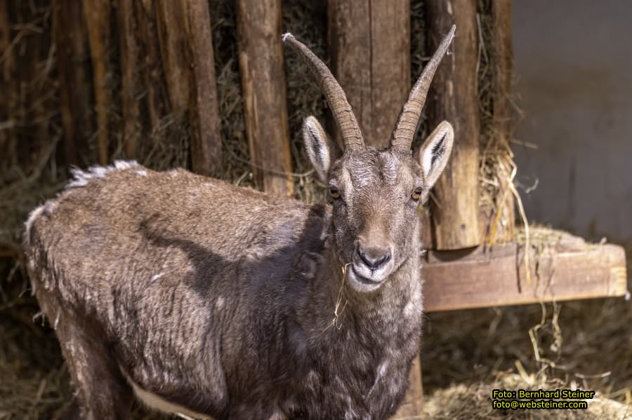 Tierpark Stadt Haag, Mrz 2023