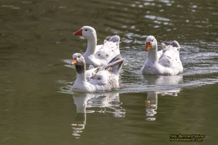 Tierpark Stadt Haag, Mrz 2023