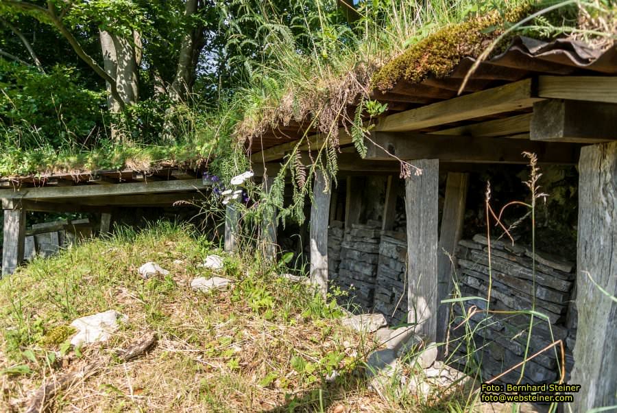 Triglav NP, 2019