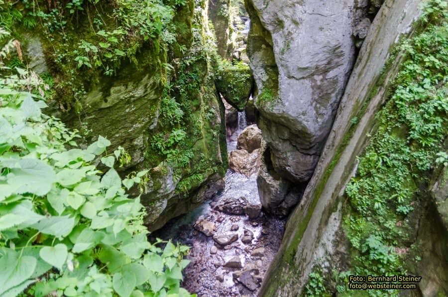 Triglav NP, 2019