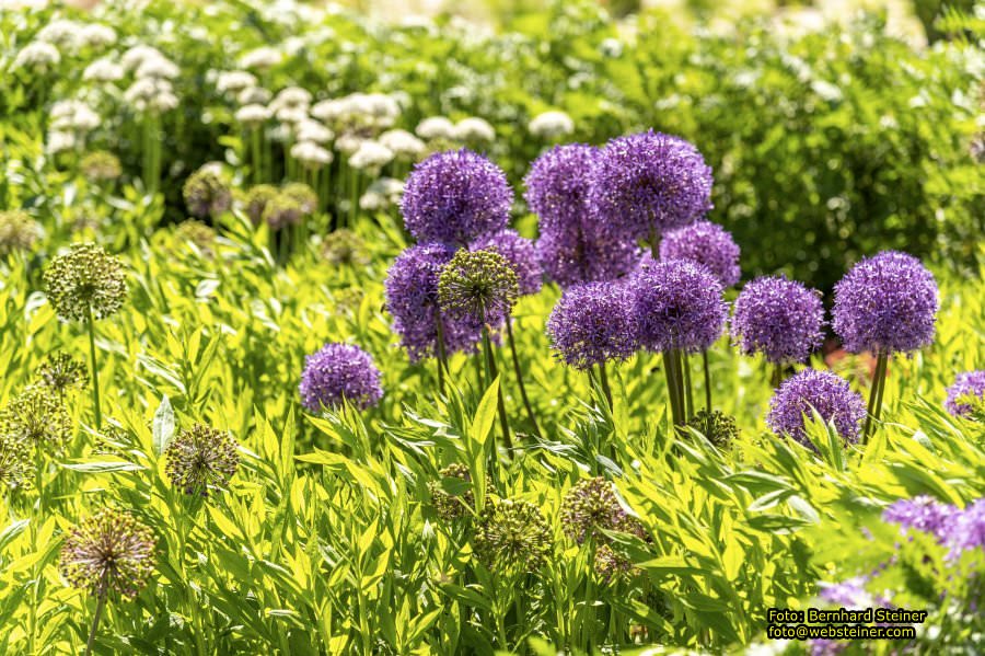 Garten Tulln an der Donau, Mai 2022