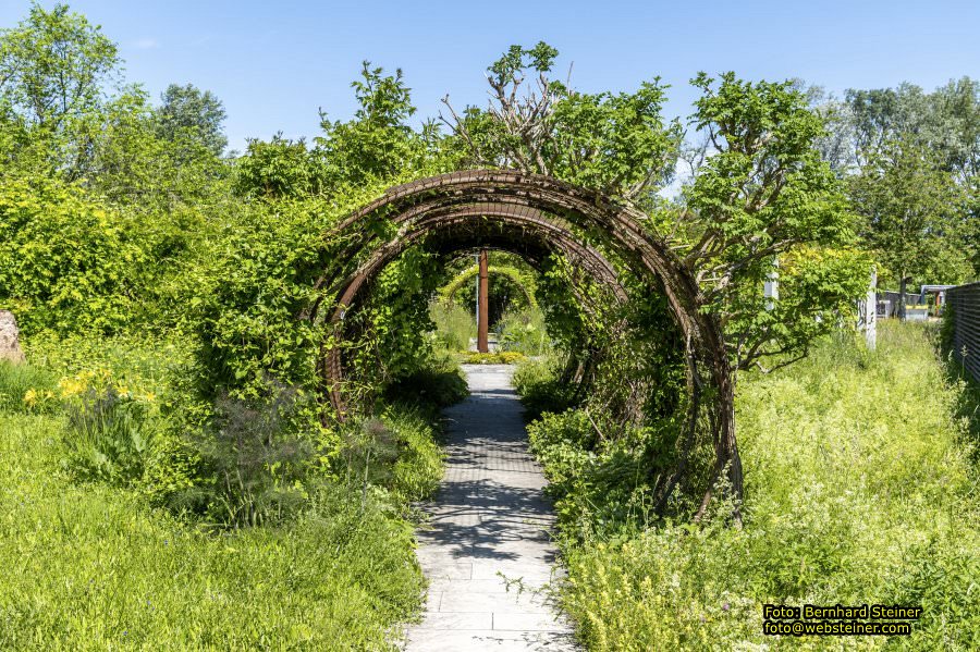 Garten Tulln an der Donau, Mai 2022