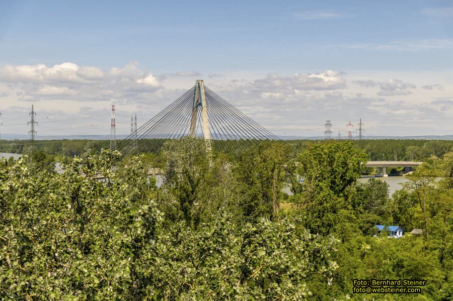 Garten Tulln an der Donau, Mai 2022