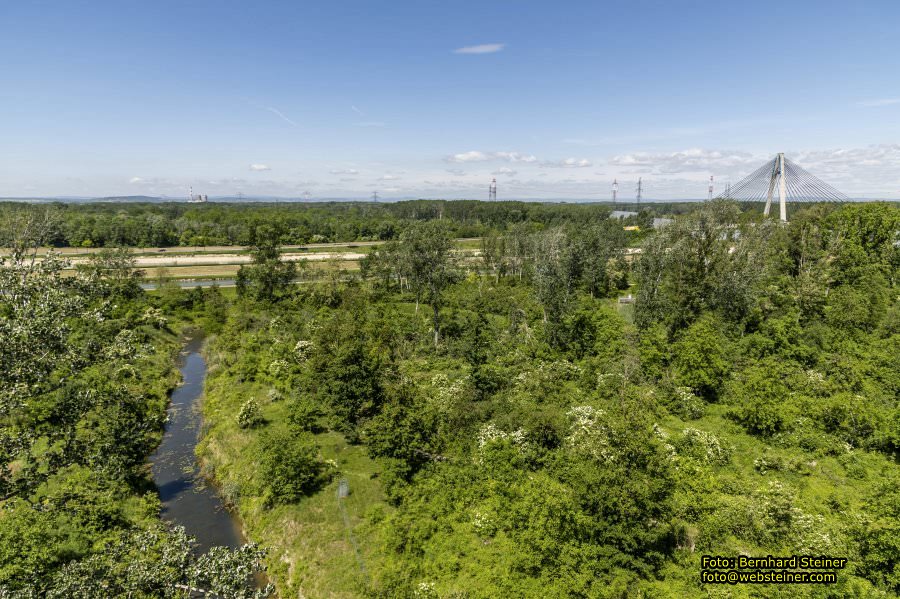 Garten Tulln an der Donau, Mai 2022