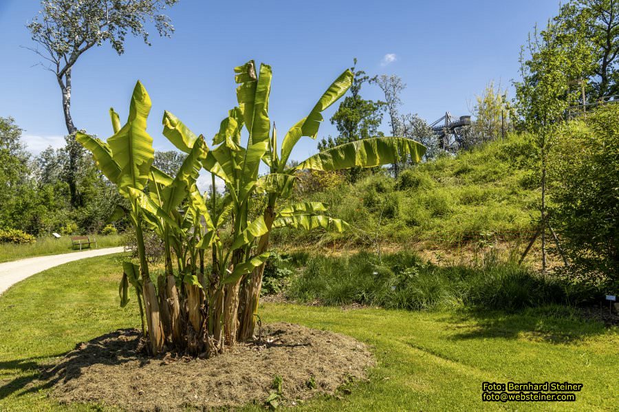 Garten Tulln an der Donau, Mai 2022