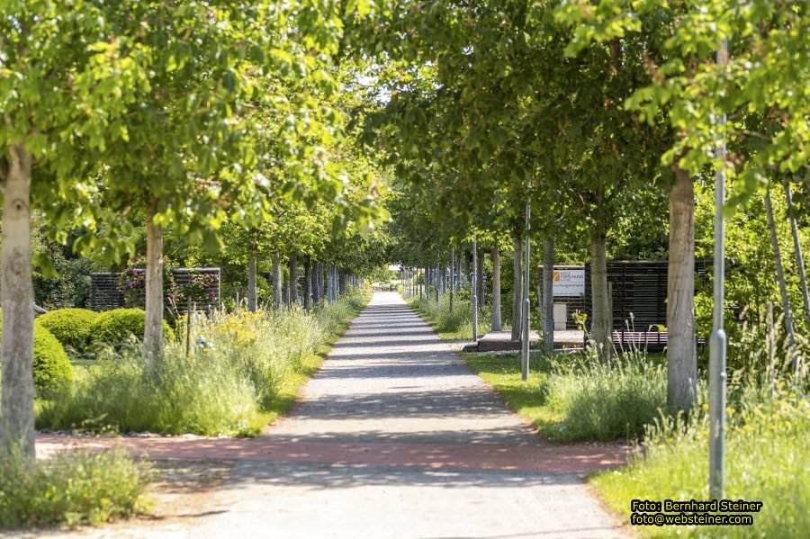 Garten Tulln an der Donau, Mai 2022