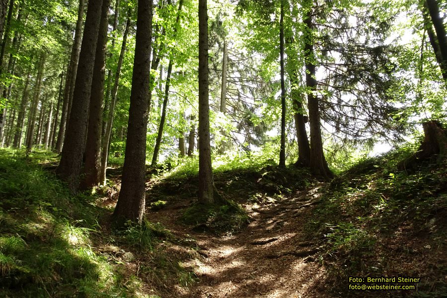 Viktorsberg in Vorarlberg, August 2017