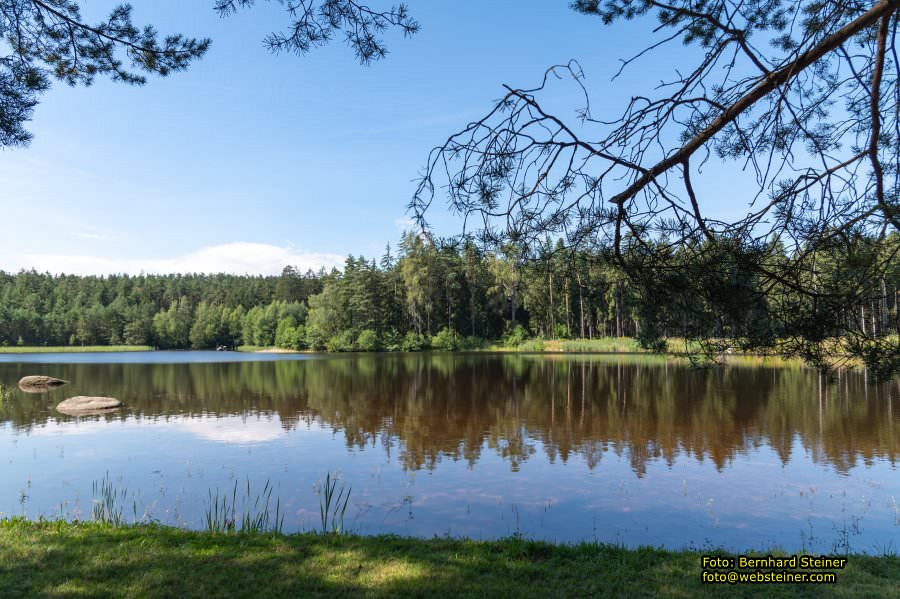 Waldviertel in NÖ