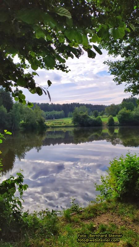 Waldviertel in NÖ