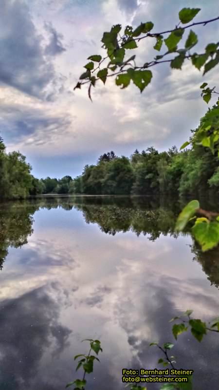 Waldviertel in NÖ