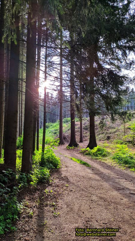 Waldviertel in NÖ