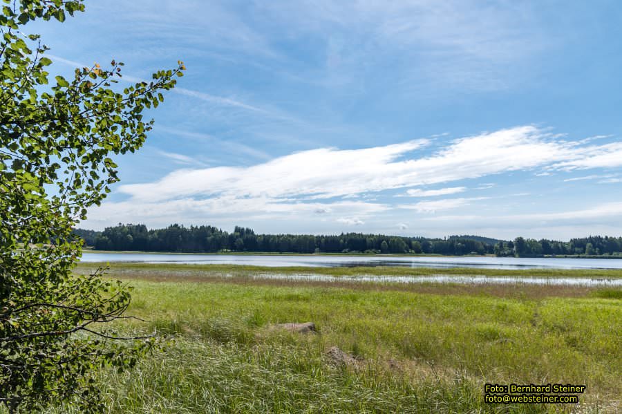 Waldviertel in NÖ