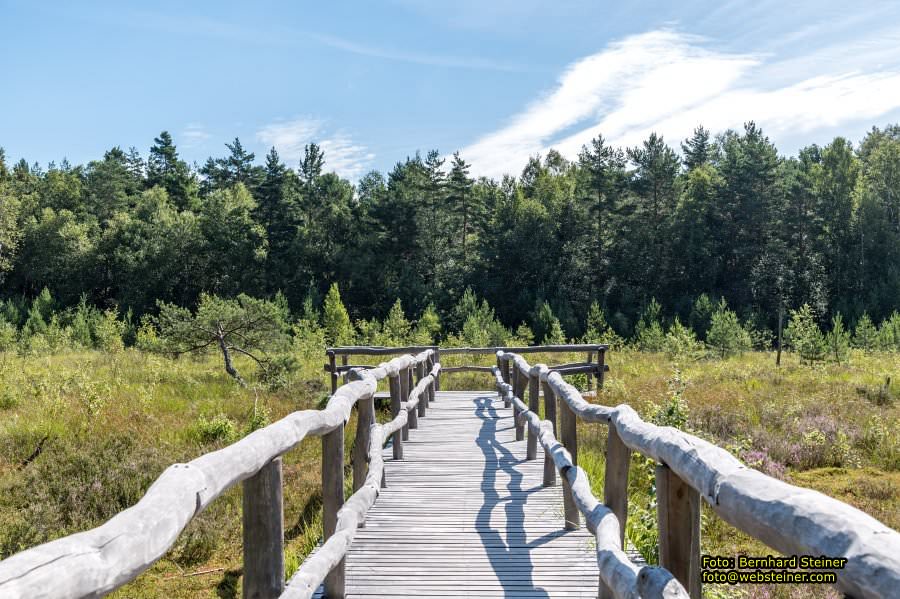 Waldviertel in NÖ