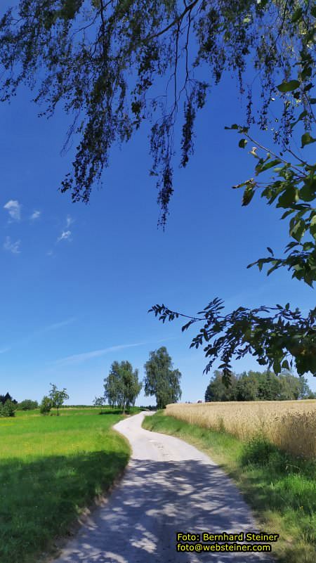 Waldviertel in NÖ