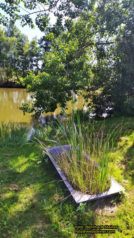 Waldviertel in NÖ