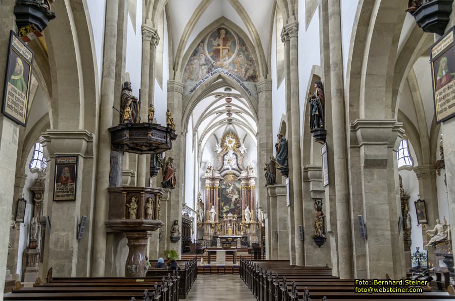 Dom von Wiener Neustadt, Mrz 2023