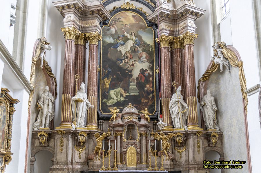 Dom von Wiener Neustadt, Mrz 2023