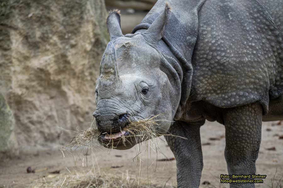 Zoo Vienna - Tiergarten Schnbrunn, Oktober 2022