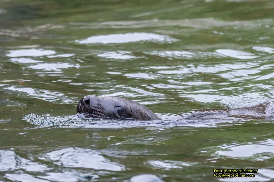 Zoo Vienna - Tiergarten Schnbrunn, Oktober 2022